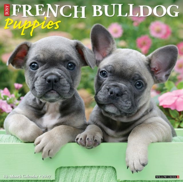 French Bulldog Puppies 2027 Wall