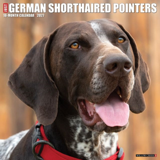 German Shorthaired Pointers 2027 Wall