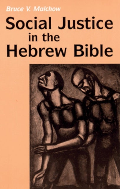 Social Justice in the Hebrew Bible