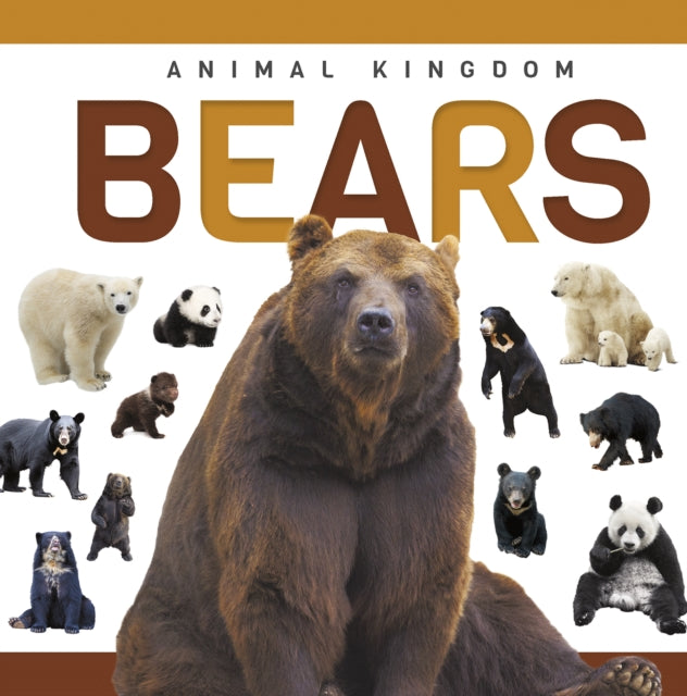 Bears