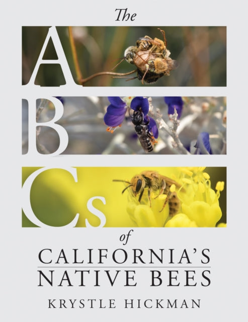 ABCs of California's Native Bees