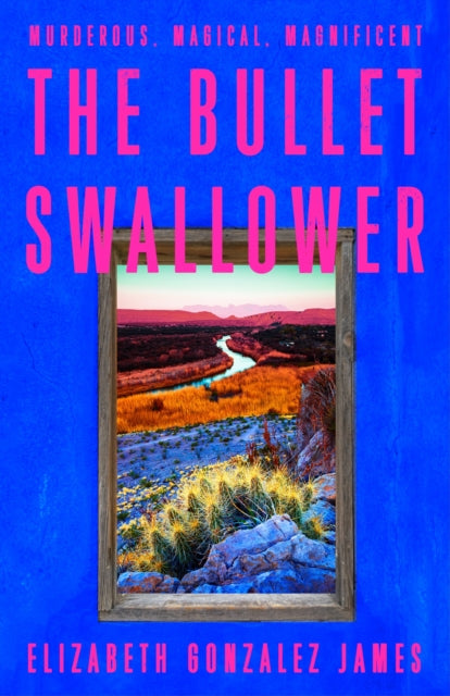 Bullet Swallower