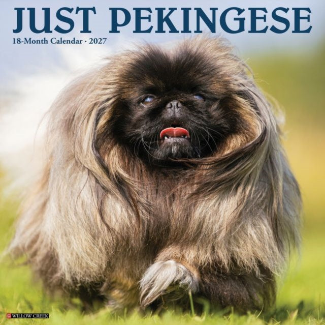 Pekingese 2027 Wall