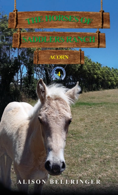 Horses of Saddlers Ranch: Acorn