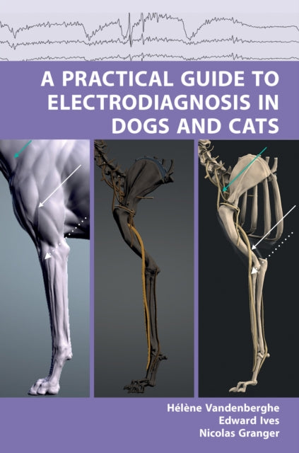 Practical Guide to Electrodiagnosis in Dogs and Cats