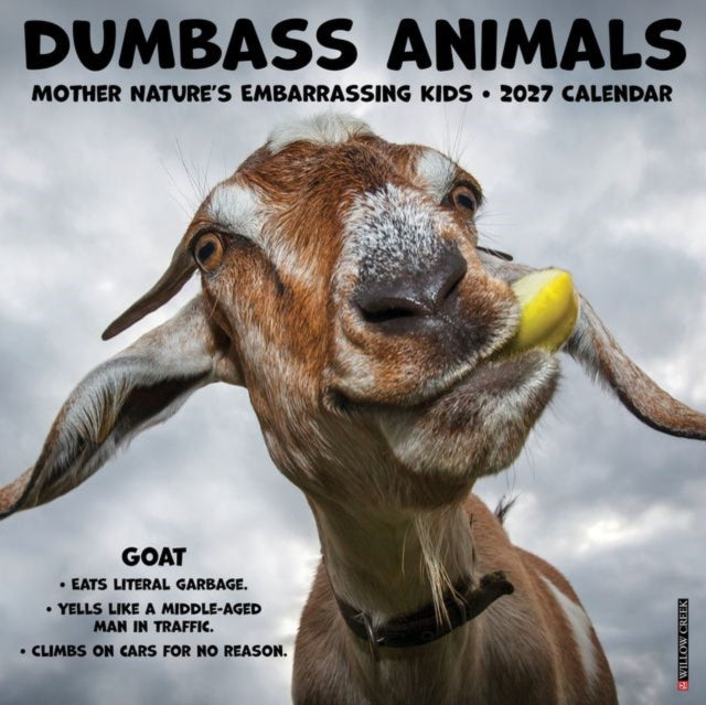 Dumbass Animals 2027 Wall