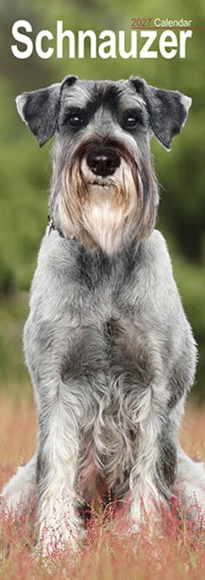 Schnauzer Slim