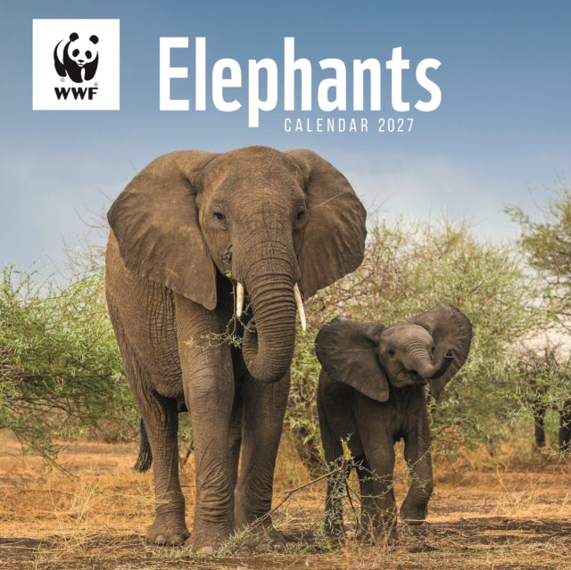 WWF, Elephants (PFP) Wall