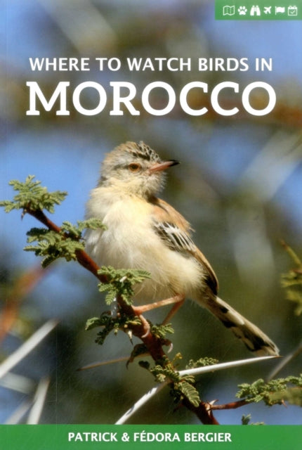 Where to Watch Birds in Morocco