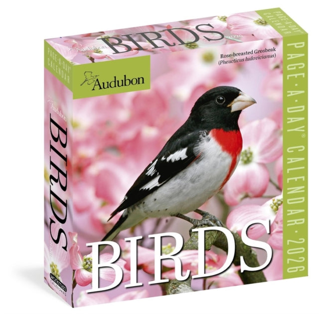 Audubon Birds Page-A-Day® Calendar 2026