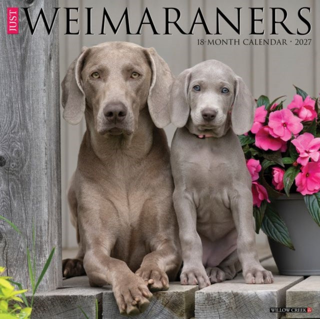 Weimaraners 2027 Wall