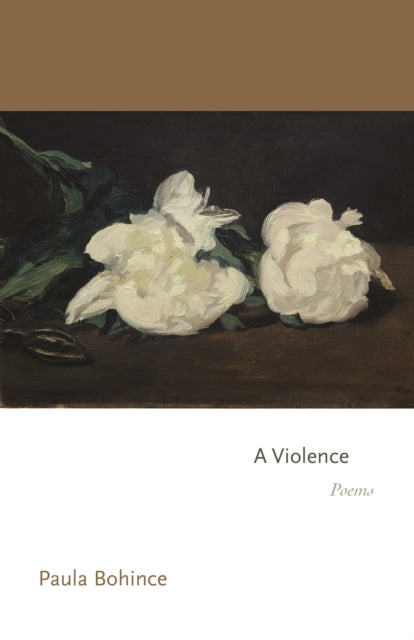 Violence