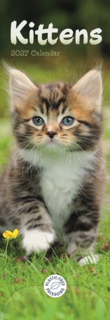 Kittens (PFP)Slim