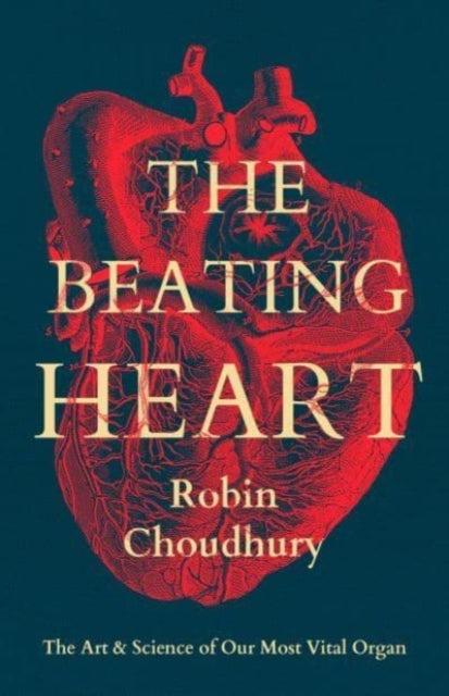 Beating Heart