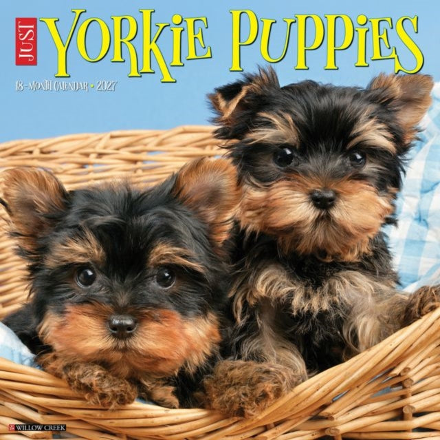 Yorkie Puppies 2027 Wall