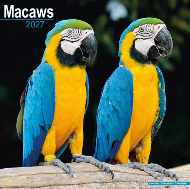 Macaws