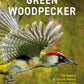 Green Woodpecker