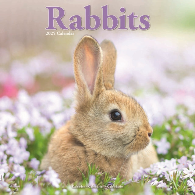 Rabbits Square Wall Calendar 2025