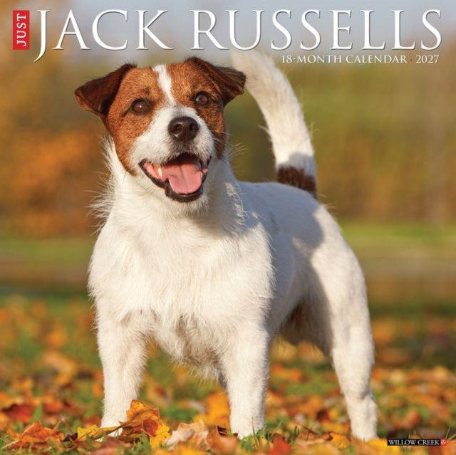 Jack Russells 2027 Wall