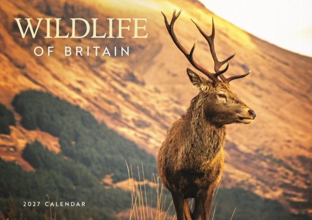 Wildlife of Britain (PFP) A4