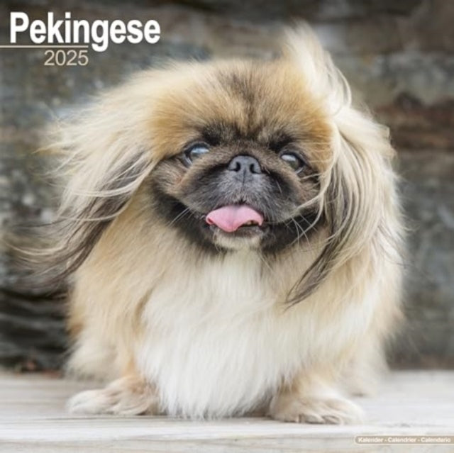Pekingese Calendar 2025  Square Dog Breed Wall Calendar - 16 Month