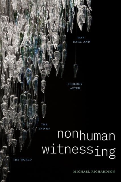 Nonhuman Witnessing