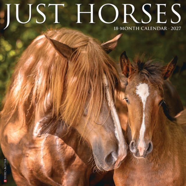 Horses 2027 Wall