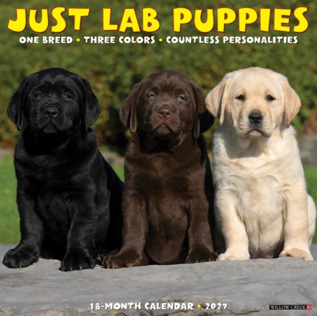 Lab Puppies 2027 Wall