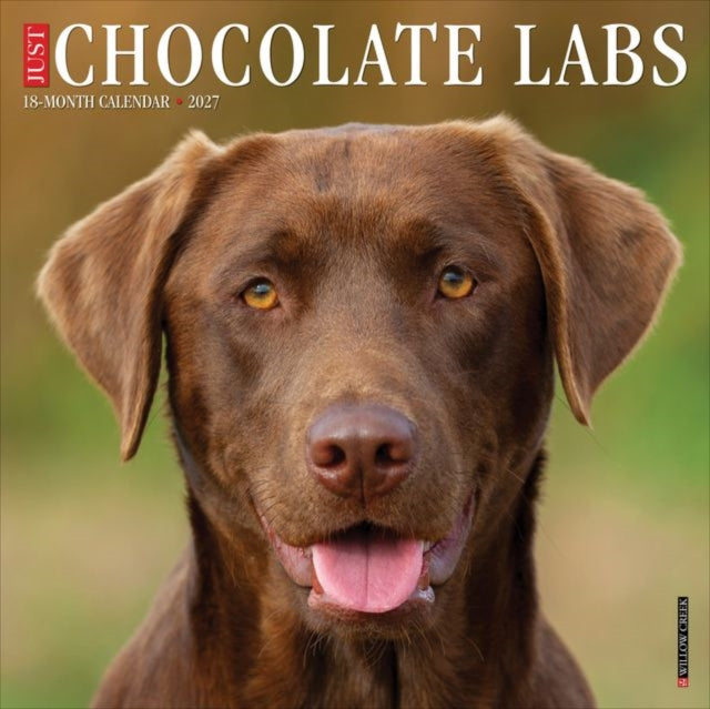 Chocolate Labs 2027 Wall