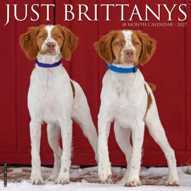 Brittanys 2027 Wall
