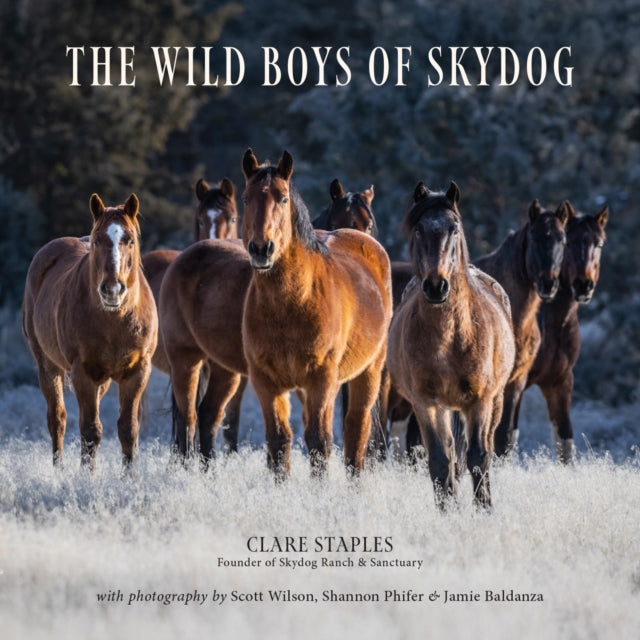 Wild Boys of Skydog