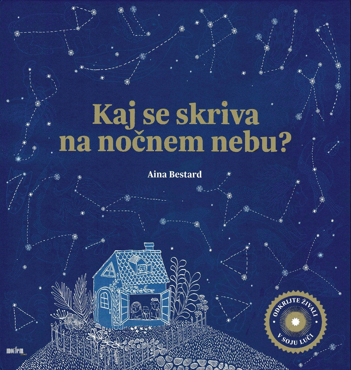 Kaj se skriva na nočnem nebu?