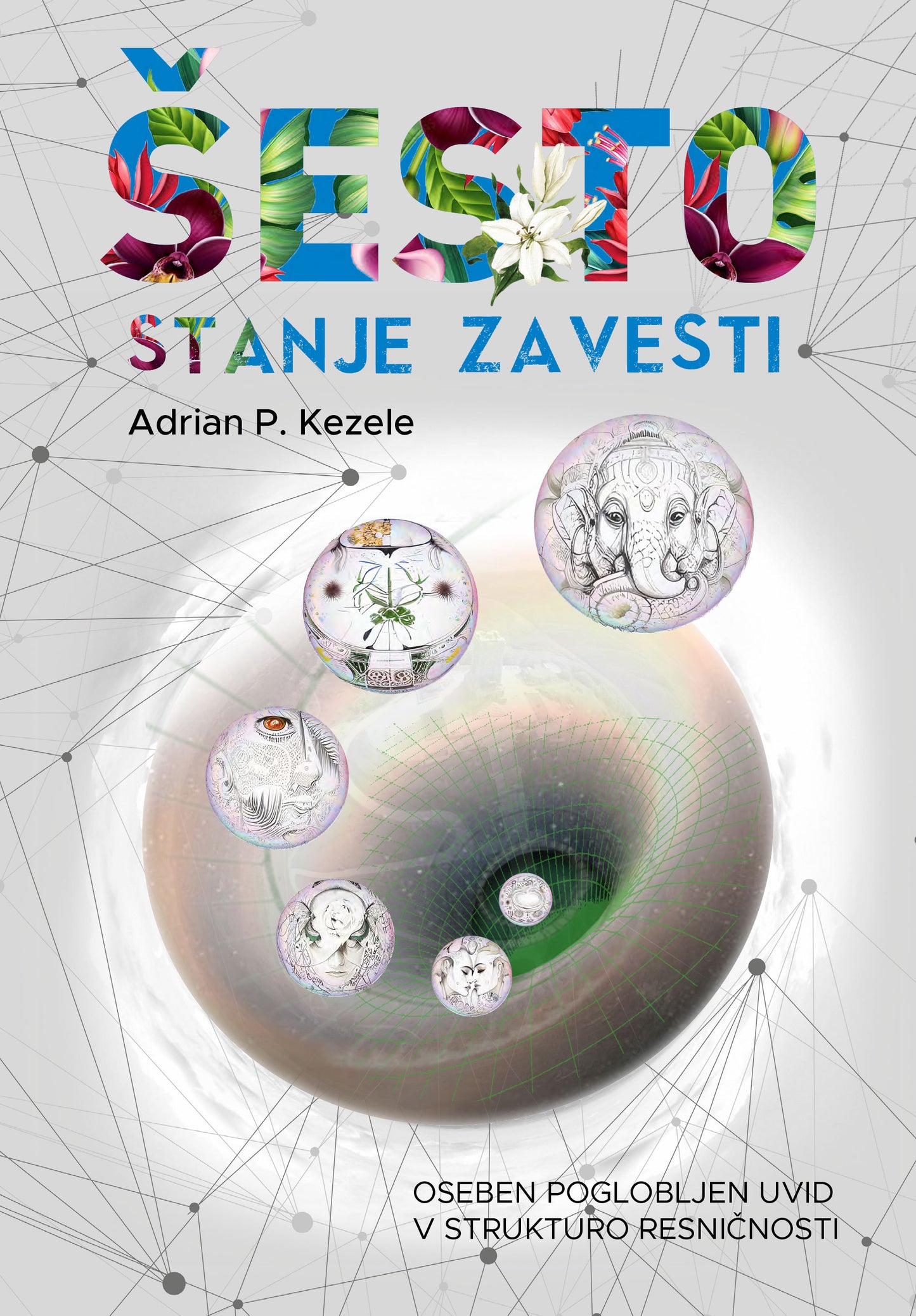 Šesto stanje zavesti