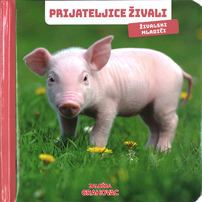 Prijateljice živali: Živalski mladiči