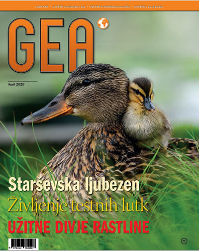 Revija GEA, april 2020