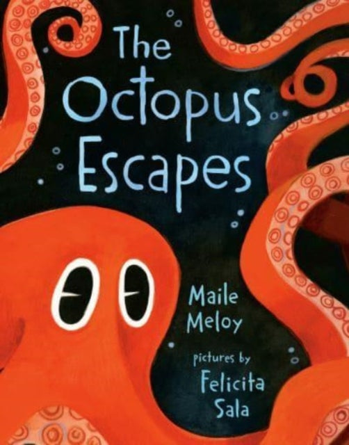 Octopus Escapes