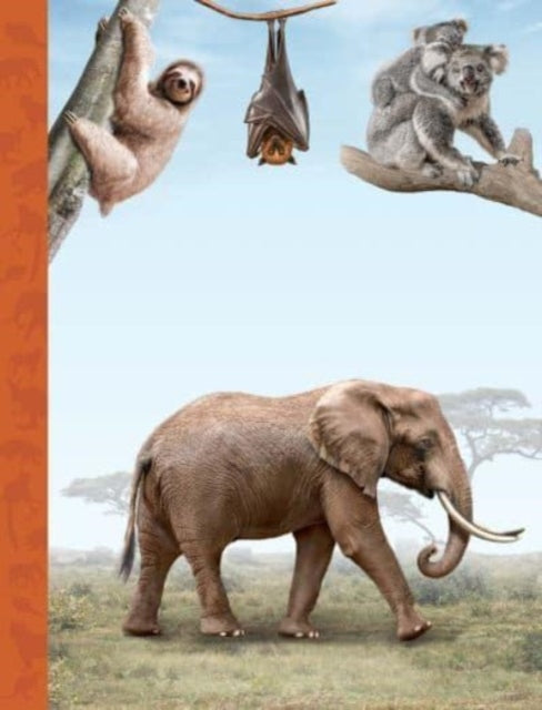 Magnificent Book of Animals