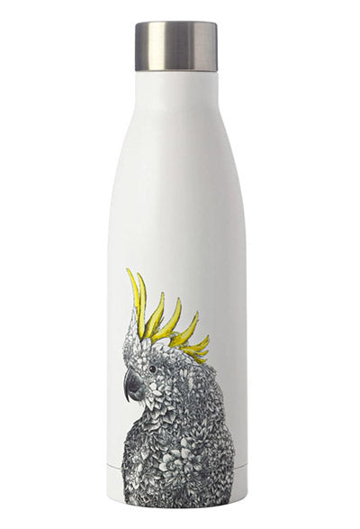 Termo steklenica Marini Ferlazzo, Papagaj, 500 ml