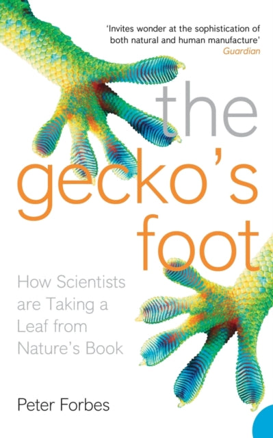 Gecko’s Foot