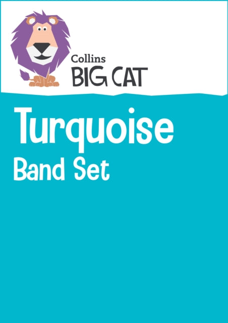 Turquoise Band Set