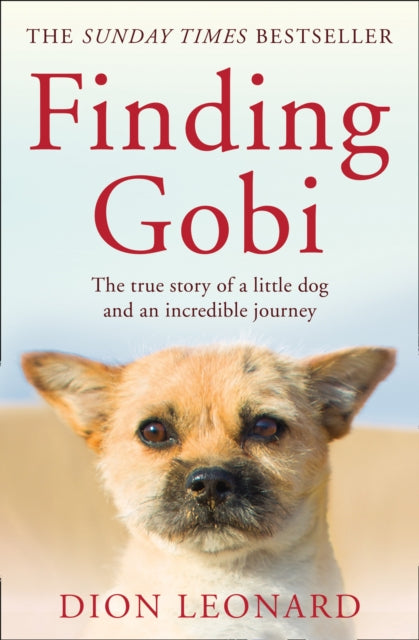 Finding Gobi (Main edition)-The True Story of a Little Dog and an Incredible Journey