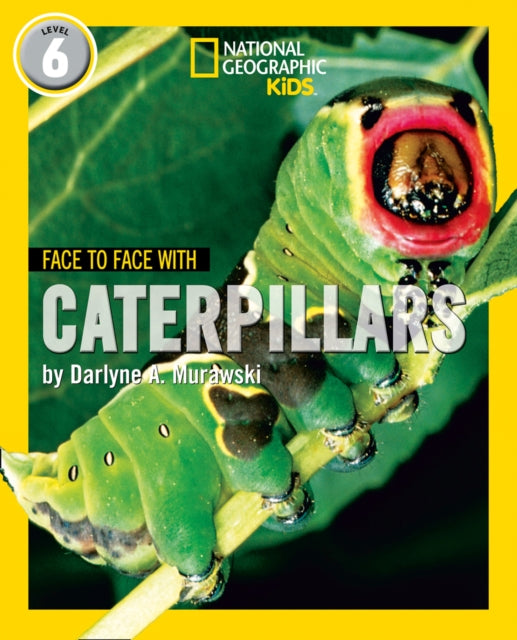 Face to Face with Caterpillars