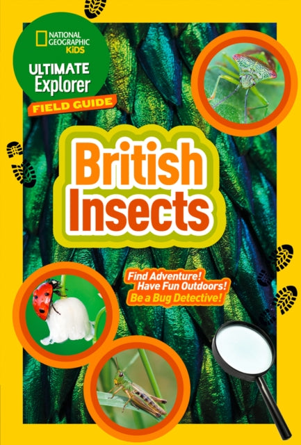 Ultimate Explorer Field Guides British Insects