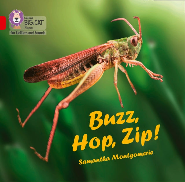 Buzz, Hop, Zip! Big Book