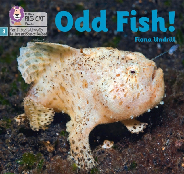 Odd Fish!