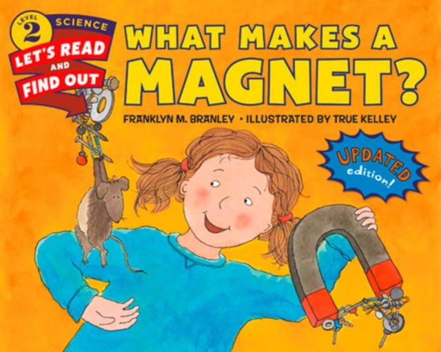 What Makes a Magnet?