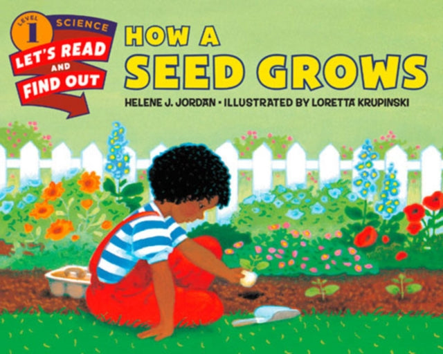 How a Seed Grows