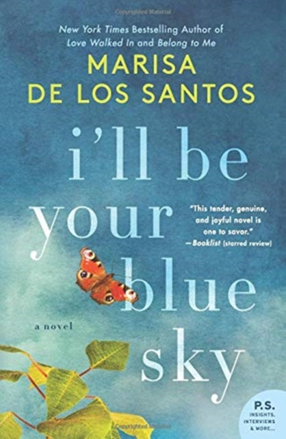 I'll Be Your Blue Sky - A Novel