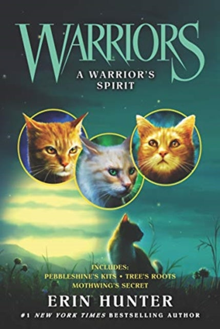 Warriors: A Warrior's Spirit