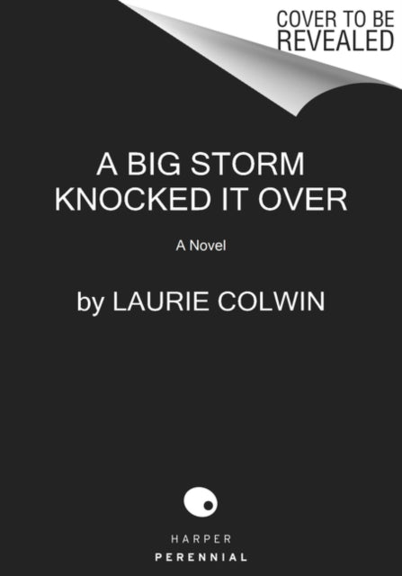 A Big Storm Knocked It Over - A Novel